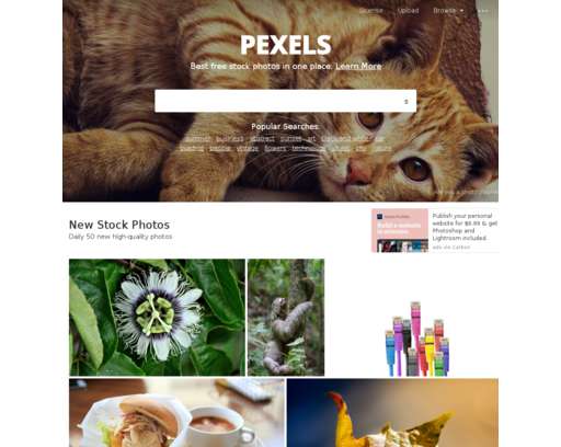 Pexels